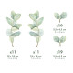 Wallstickers Eukalyptus – ØKO Veggklistremerker Barnerom – 60pk – Grønn Naturdekor
